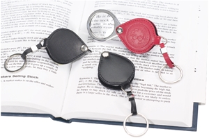 Picture of Magnifier Key Holder