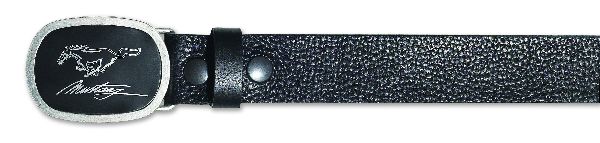 Picture of Pewter Finish Buckle