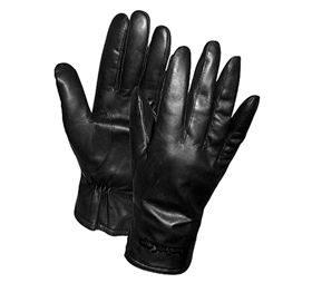 Picture for category Gloves