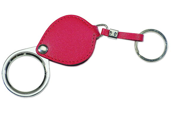 Picture of Magnifier Key Holder