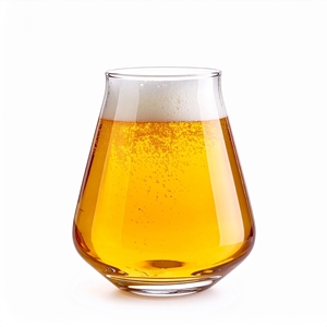 Picture of Hugo 13oz Stemless Beer / Pallet
