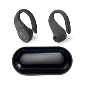 Picture of SENTRY ANC Earbuds