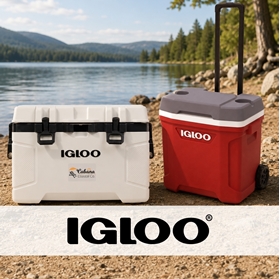 Picture for category Igloo